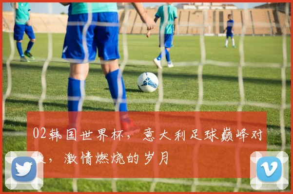 02韩国世界杯，意大利足球巅峰对决，激情燃烧的岁月
