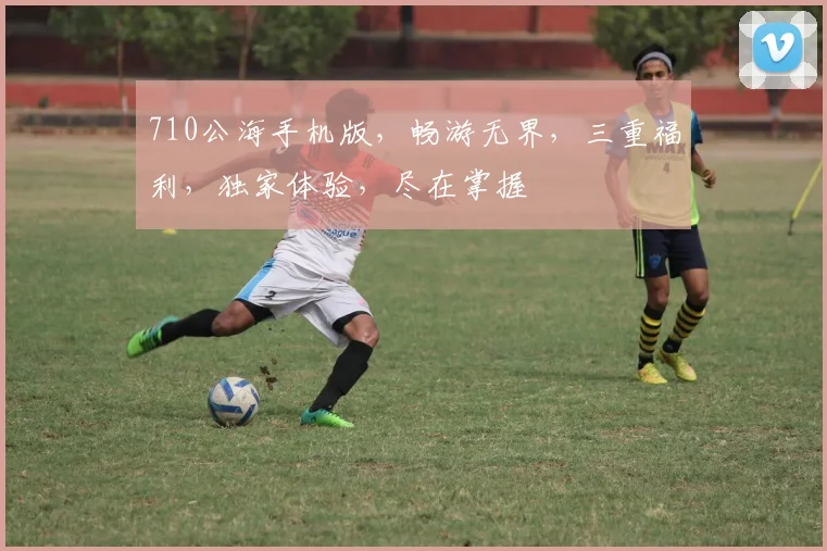 710公海手机版，畅游无界，三重福利，独家体验，尽在掌握