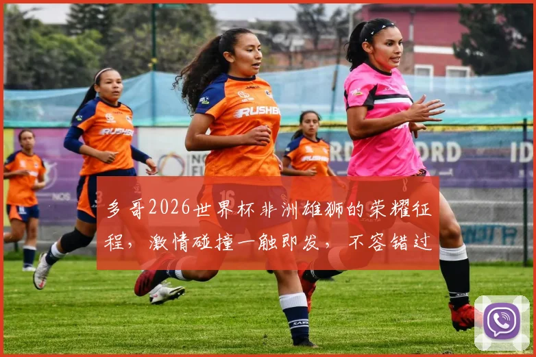 多哥2026世界杯非洲雄狮的荣耀征程，激情碰撞一触即发，不容错过