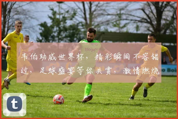 韦伯助威世界杯，精彩瞬间不容错过，足球盛宴等你共赏，激情燃烧的夏日