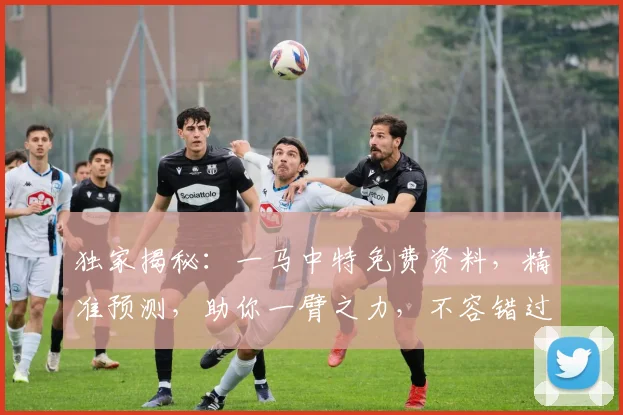 独家揭秘：一马中特免费资料，精准预测，助你一臂之力，不容错过，必看